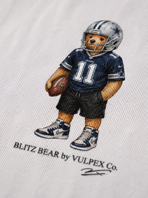 America’s Team Blitz Bear DTG print macro detail on heavyweight cotton