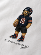 Monsters of the Midway Blitz Bear DTG print macro detail on heavyweight cotton