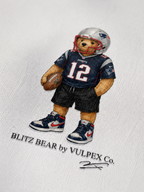 Pats Nation Blitz Bear DTG print macro detail on heavyweight cotton