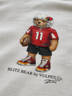 Red Sea Blitz Bear DTG print macro detail on heavyweight cotton